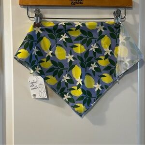 When Life Gives You Lemons | 2-Pack Citrus Dog Bandanas